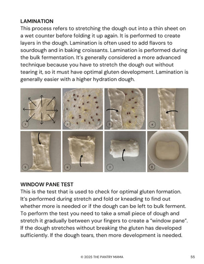 Sourdough Made Easy
